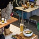 신논현역 우동 맛집 요미우돈교자 강남점 후기