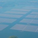 인니 동남아 최대 수상 태양광 발전소를 가동했다 기사 이미지