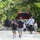 증심사 뉴스1