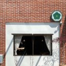 경기도 수원시 팔달구 정조로 이미지