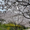 해양대학로 이미지