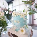 페브러리래빗 이미지