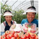 강금자농장 이미지