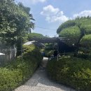 금산그때그집식당 | 부모님 단골 식당 금산 삼계탕 그때그집