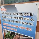 어촌해물탕 이미지