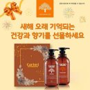 르네셀피부샵