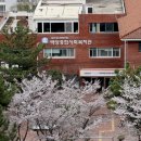 영화백양 이미지