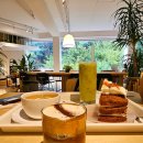 포항상생숲길(효자교회앞) | 포항 바르벳 포레스트뷰 카페, 비오는 날도 운치 있는 효자동 인기 맛집