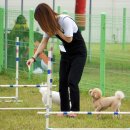 반려동물관리사자격증 이미지