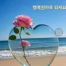 모담