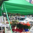 홍대입구역 8번 출구 앞 | 홍대입구역 8번 출구 가성비 꽃집 추천