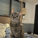 박정석 피시방 이미지