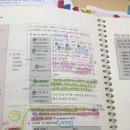 25카츠 가산점 | 십자인대 수술 후 2026 체육 임용고시 합격까지