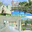 용인 자작나무숲 펜션 | 용인 수영장 펜션 용인자작나무숲펜션