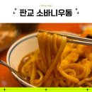 판교 테크노밸리 웨이팅 있는 점심 맛집 카레우동이 맛있는 소바니우동