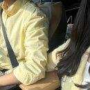 리리포레스트