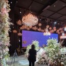 아르떼보엠 이마트24 | [계약O] 안양 더파티움(안양 웨딩홀 견적 有)