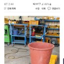 밤실흑염소농장 이미지