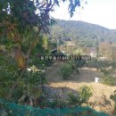 내서읍380 이미지