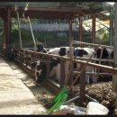 송지목장 이미지