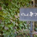 클럽 플로라 이미지