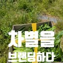 메이드알콩