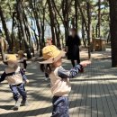 솔밭어린이집 | 어린이집 부모 일일도우미 포항 송도솔밭 나들이 후기