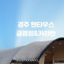 텐타우스 이미지