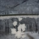 연제구-076 Daum카페