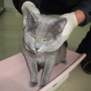 남부대로 이미지