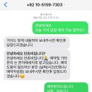 안쵸비(Anchovy) 이미지