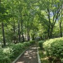 청담고등학교를 소개합니다. 이미지