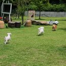 멍그라운드 이미지