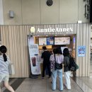 앤티앤스동