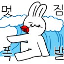 비치나안경 이미지