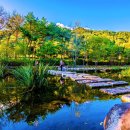 (주)향연