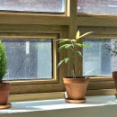 하이브메이트부동산중개 이미지