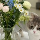 바람정원 이미지