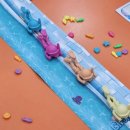 환경보드게임 강사 양성과정 이미지