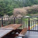 갈비명가 가야골 이미지