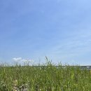 제주베네치아호텔 이미지