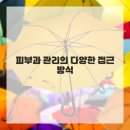 건강과 피부 고민 해결