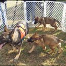 백두축산 이미지