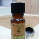 핑코애견 이미지