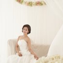 라플레르 이미지