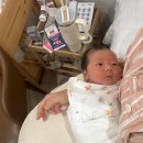 더 아이리스 산후조리원 이미지