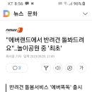 에버랜드에서 반려견 돌봐드립니다 이미지