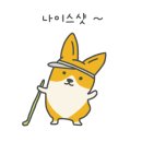 웰골프랜드 이미지