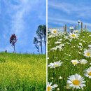 칼리오페 이미지