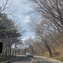 필승로(4) | 오두산 통일전망대 투썸 플레이스, 김포 애기봉 스타벅스 비교 후기